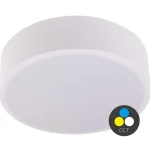 Nézd meg most Fehér mennyezeti LED-lámpa, gömbölyű, 400mm, 36W, CCT