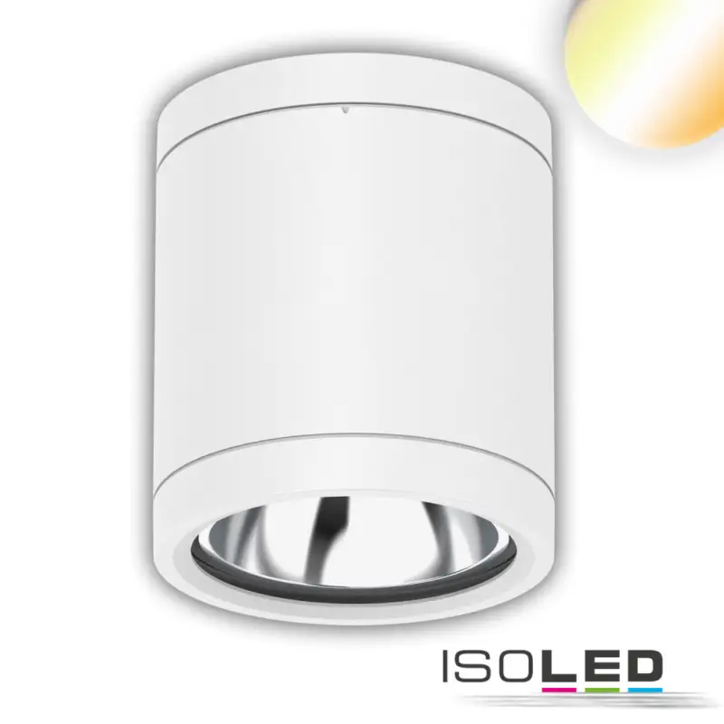 Árengedmény LED mennyezetre szerelt spot IP65, fehér, 10W, ColorSwitch 3000|4000|5000K, dimmelheto