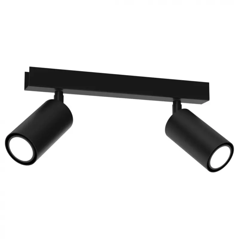 Biztonságos fizetés Mennyezeti lámpa HUDSON BLACK 2xGU10
