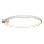 Végkiárusítás CIRCLE LED - Zuma - ZU-LA0771 - Mennyezet lámpa