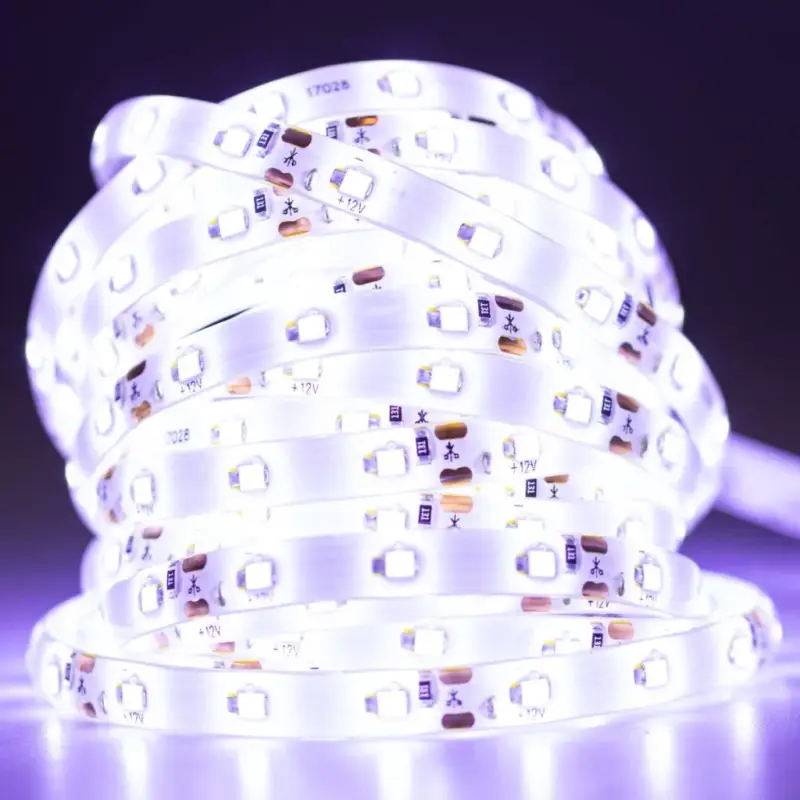 Legjobb ár LED szalag szalag 12V 24W 300LED 2835 hideg IP65 8mm 5m